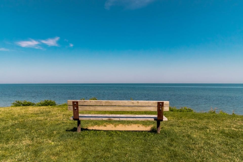 Five Point Cottage is a short walk to Ryerson Park - Great views of Toronto skyline on a clear day
