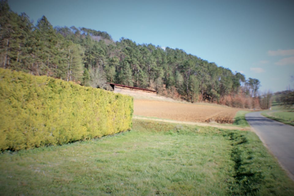 view from side of the house, so peacefull
