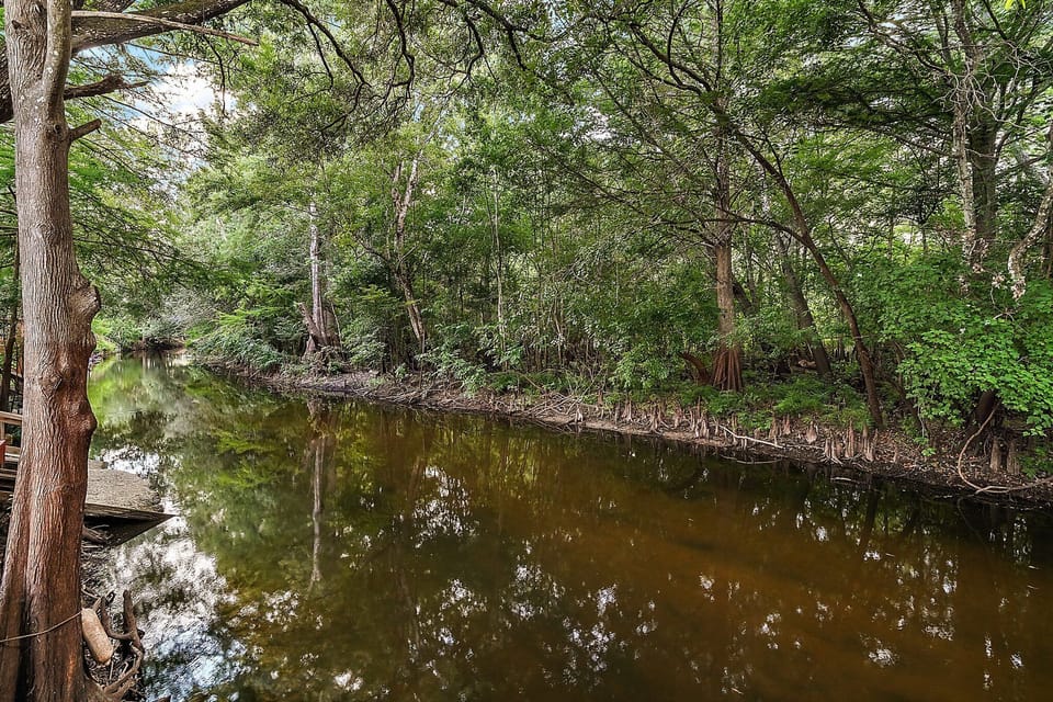 very private views from deck