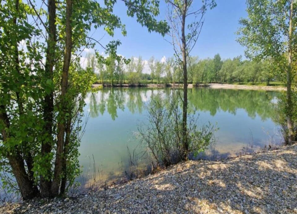 Apartment | View from property