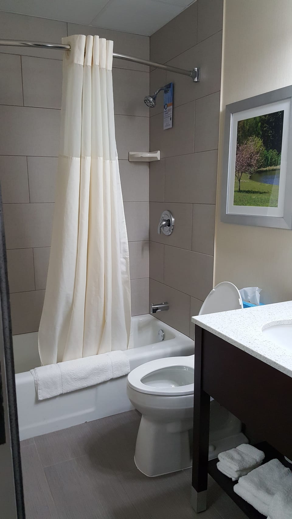Combined shower/tub, hydromassage showerhead, hair dryer, towels