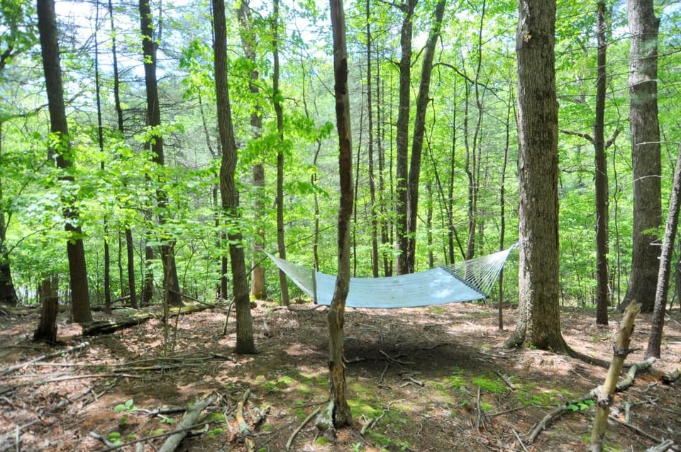 House, Multiple Beds (Cabin at Sleepy Creek - Charming Cabi) | Property grounds