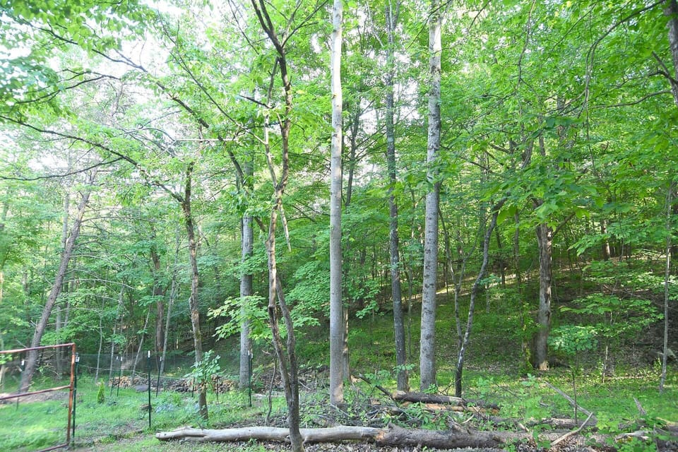 Cabin, Multiple Beds (Creekview Cabin - A Perfect Escape) | Property grounds
