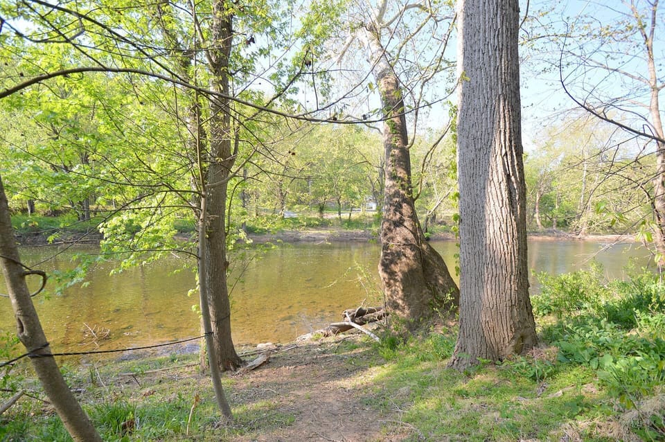 House, Multiple Beds (Chesnutt Cabin on the Cacapon River) | Property grounds