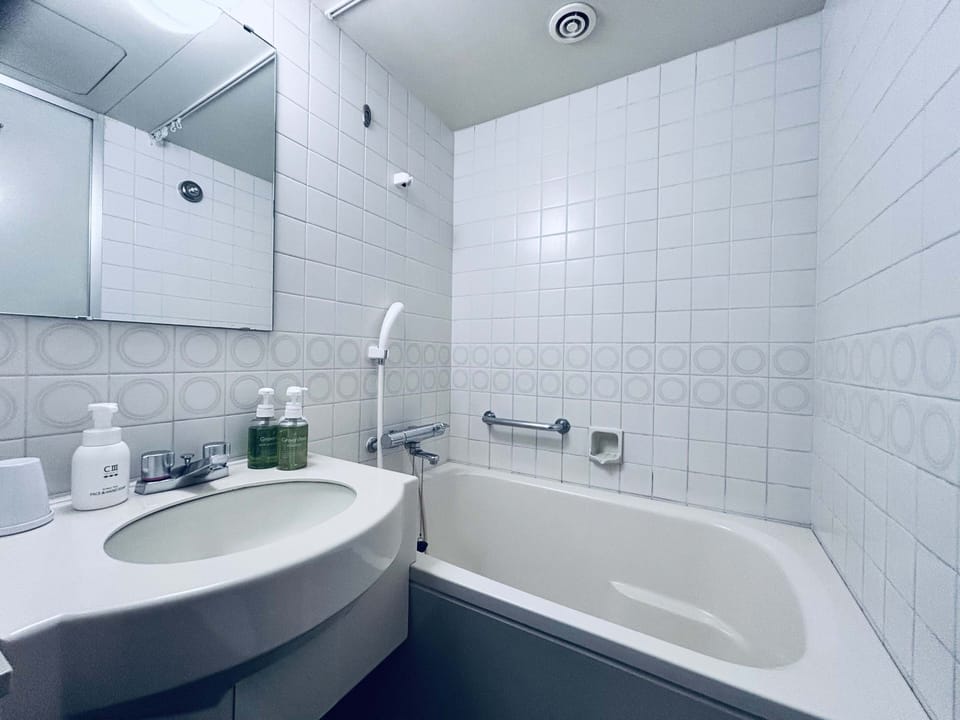 Combined shower/tub, free toiletries, hair dryer, slippers