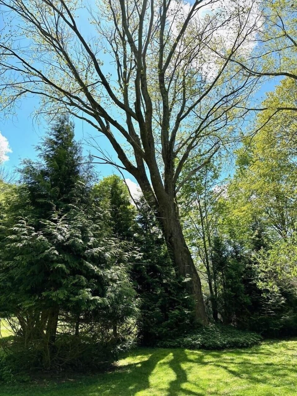 House, 3 Bedrooms | Property grounds