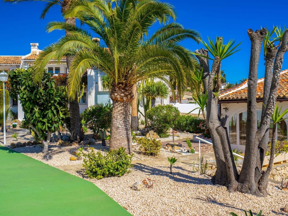 Property, Tree, Real Estate, Palm Tree, House, Estate, Home, Residential Area, Majorelle Blue, Building