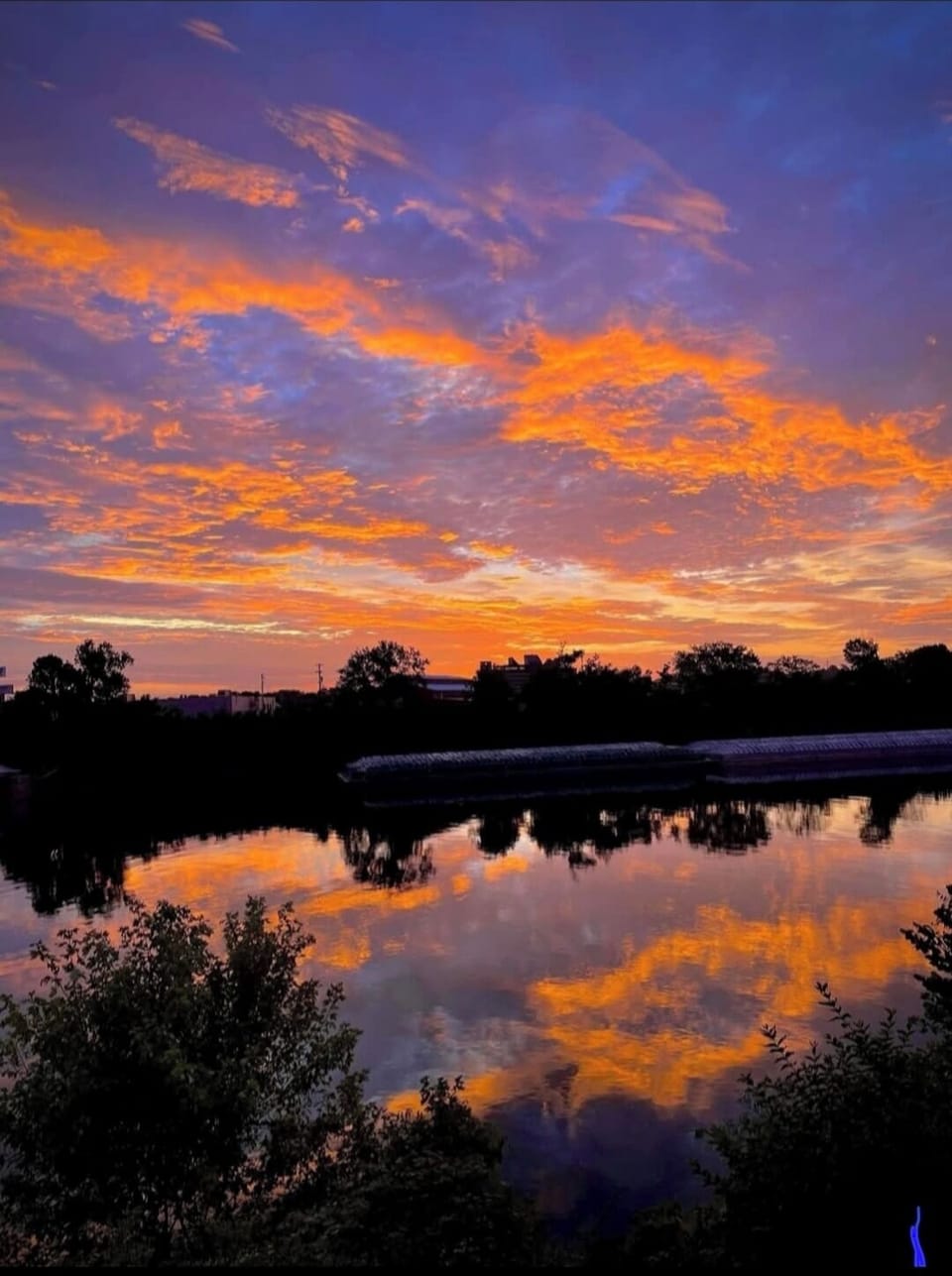 Beautiful sitting on the deck!