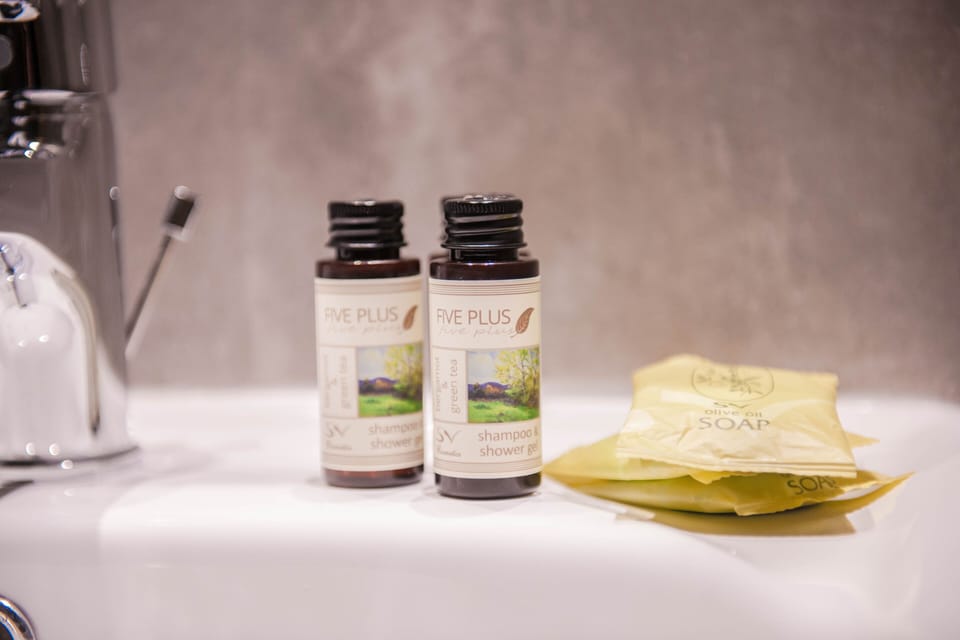 Shower, free toiletries, hair dryer, towels