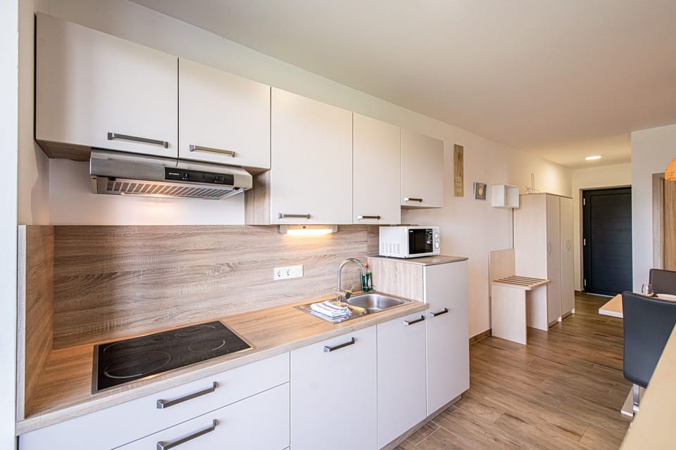 Apartment | Private kitchen | Fridge, microwave, stovetop, dishwasher