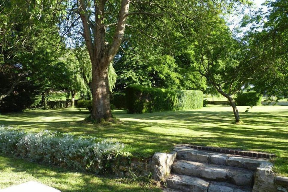 Garden [summer]
