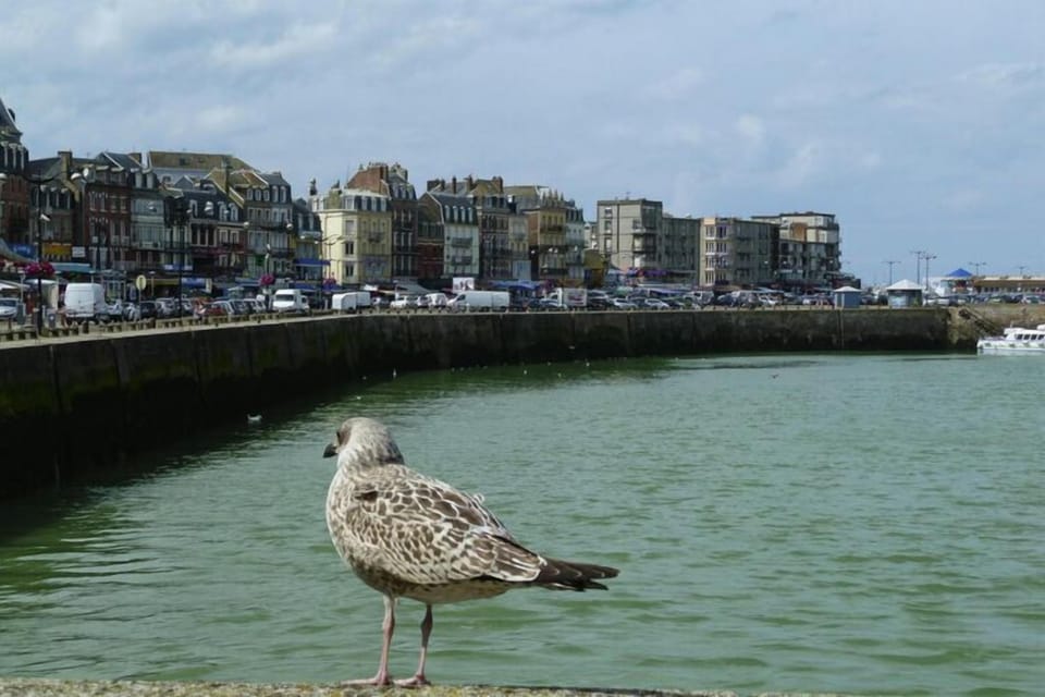 Region [summer] (>5 km)