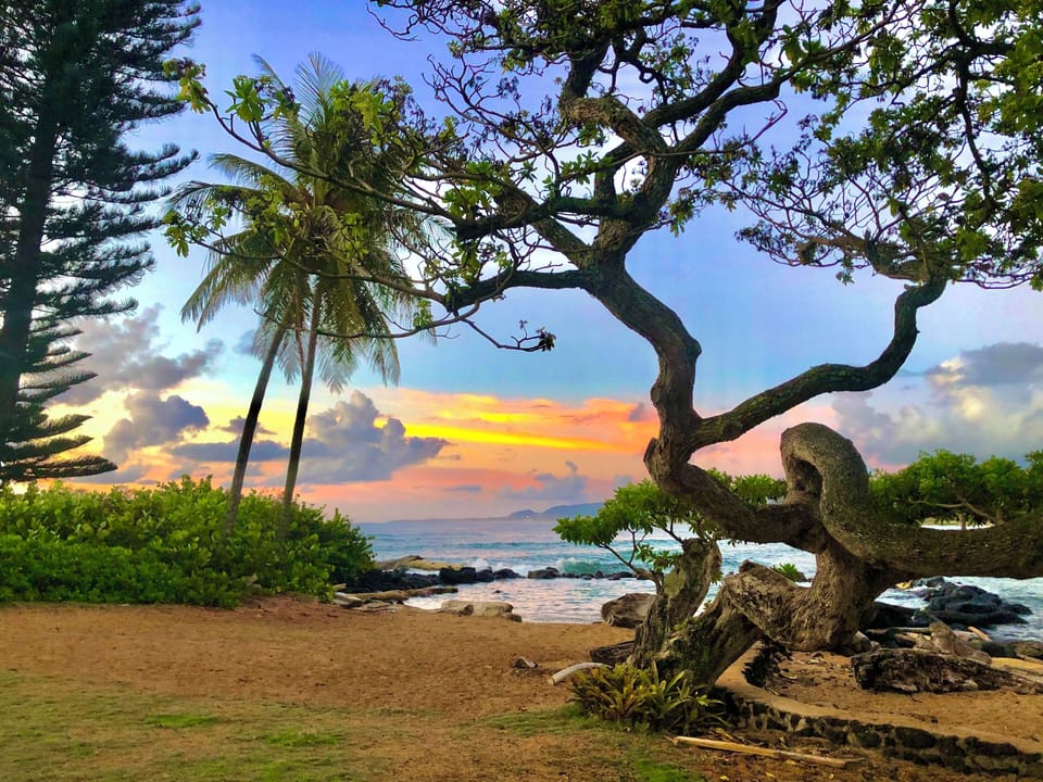 Enjoy the evening view well relaxing by the beach