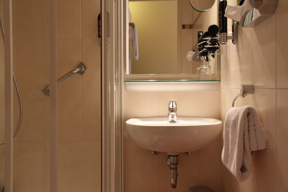 Single Room | Bathroom | Hair dryer, towels