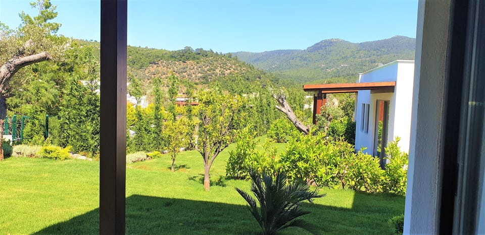 Comfort Suite | Garden view