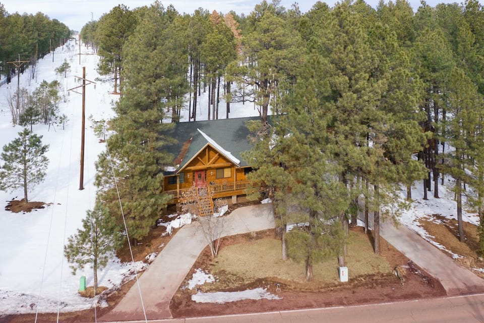 SPECTACULAR CABIN WITH FOREST VIEWS