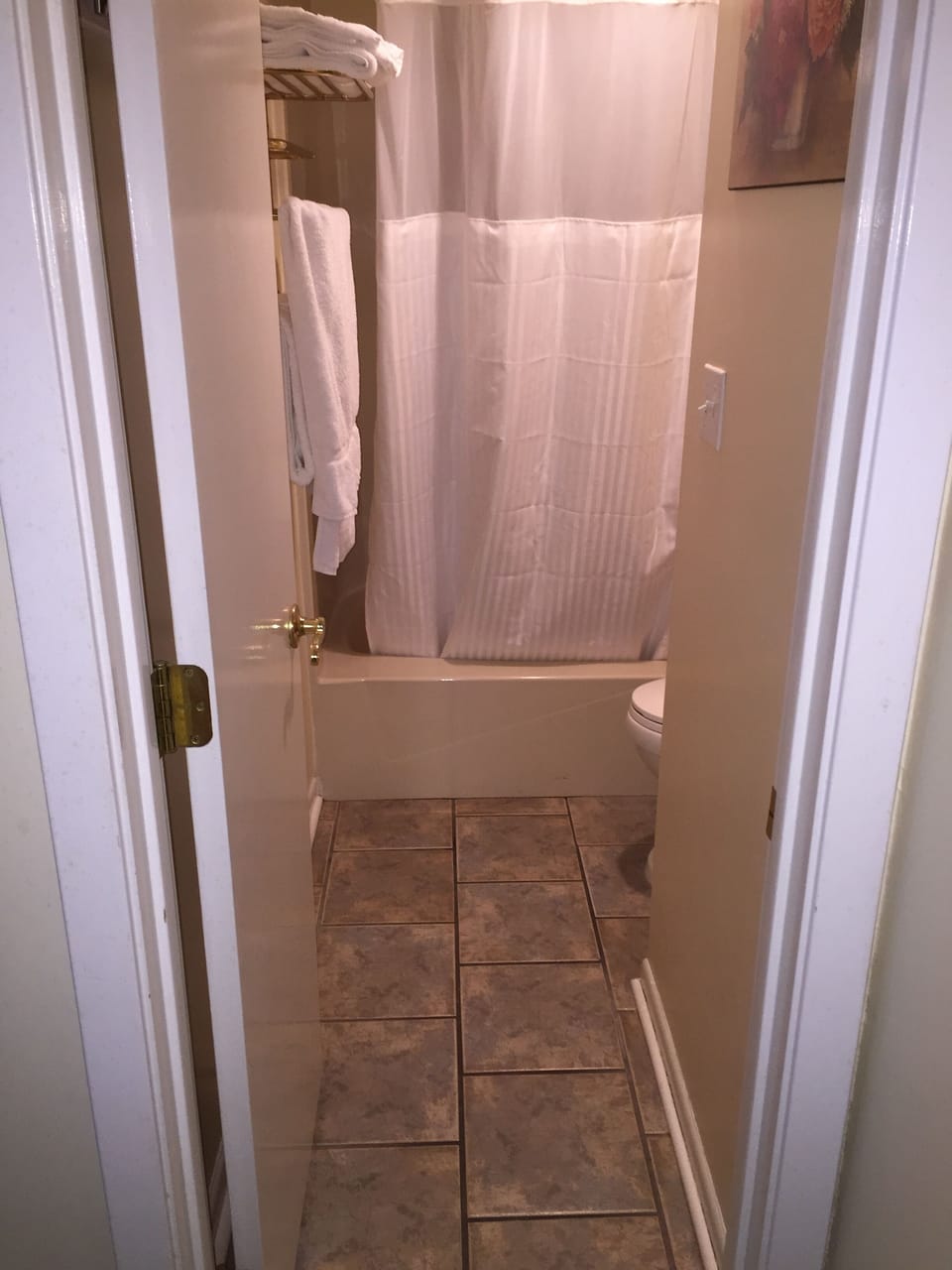 Master Bathroom with tub/shower combo and toilet