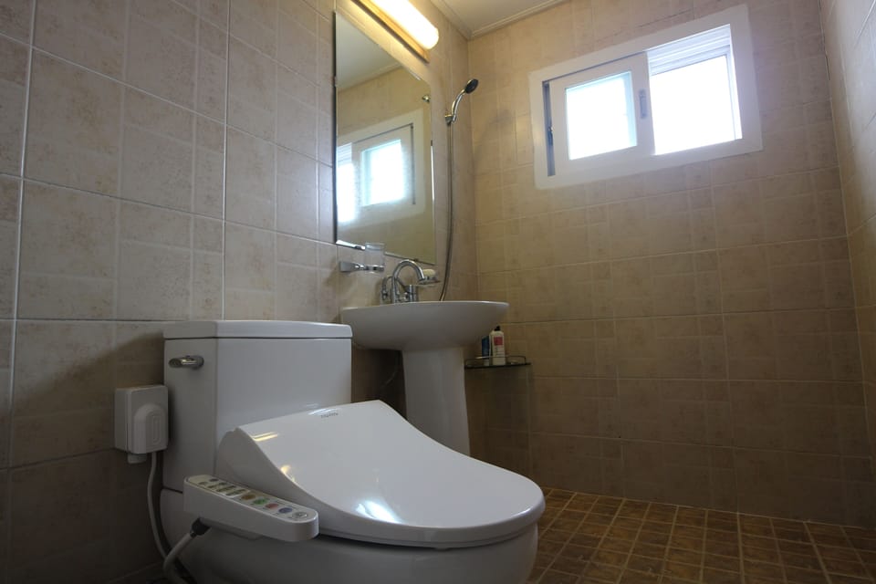 Shower, free toiletries, hair dryer, slippers