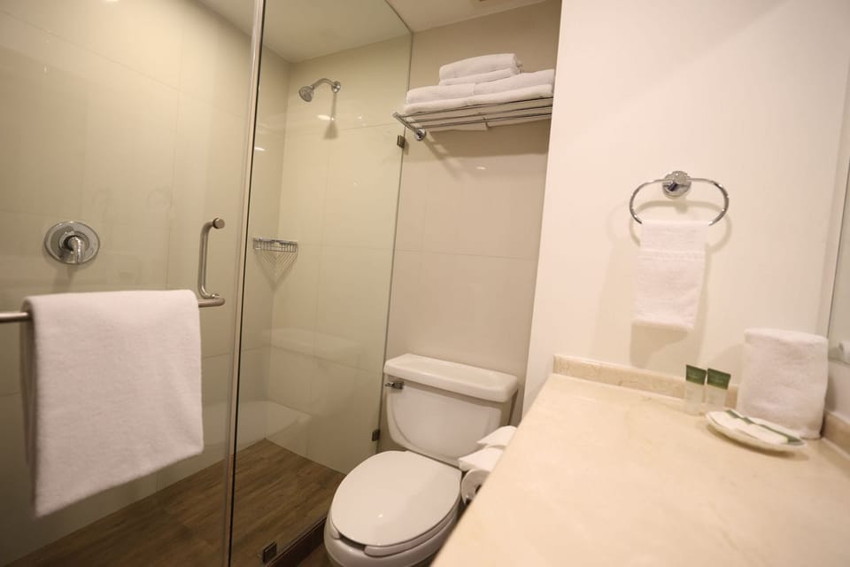 Combined shower/tub, hair dryer, towels, shampoo