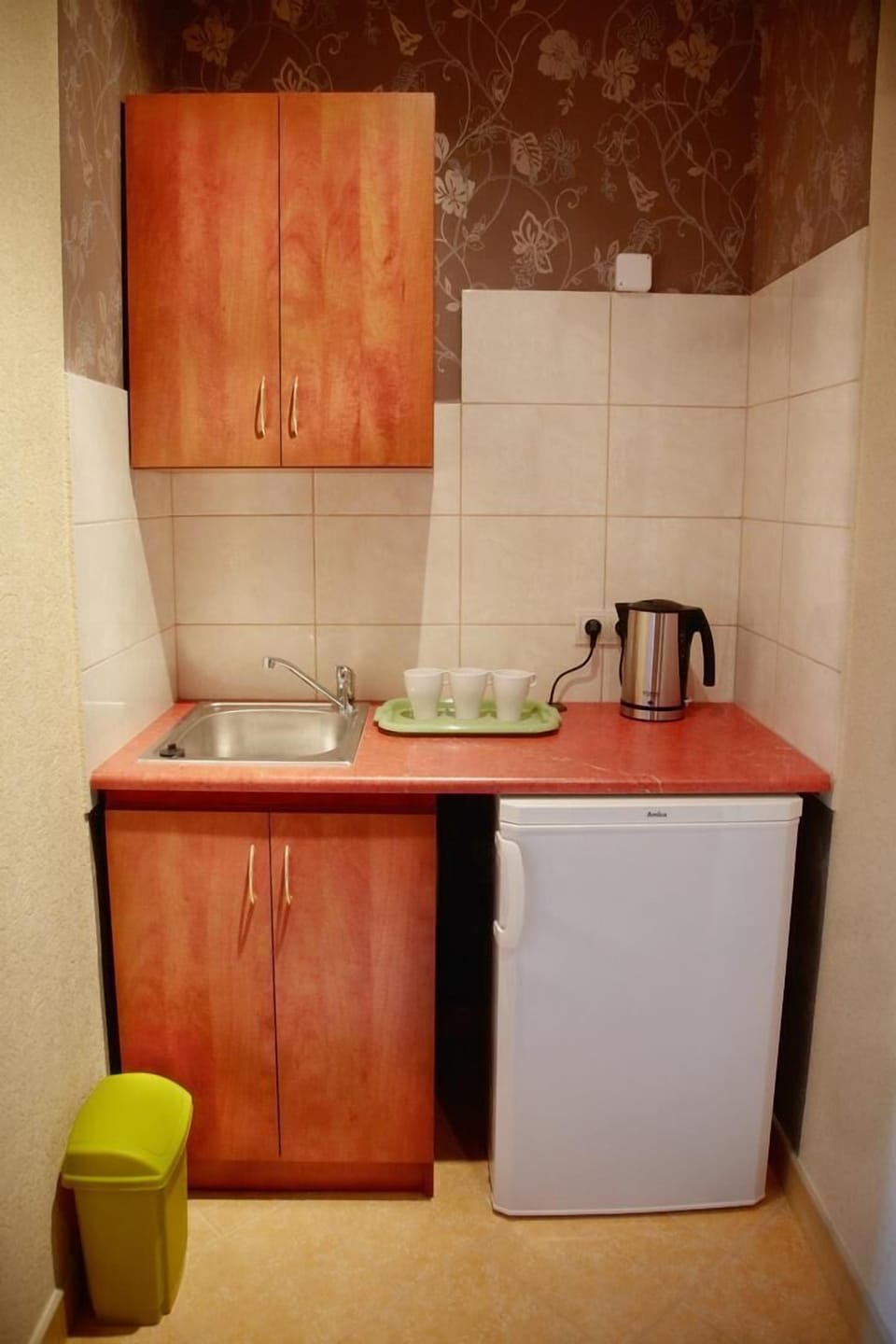 Fridge, coffee/tea maker, electric kettle