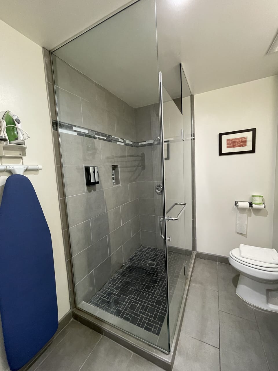 Combined shower/tub, free toiletries, hair dryer, towels