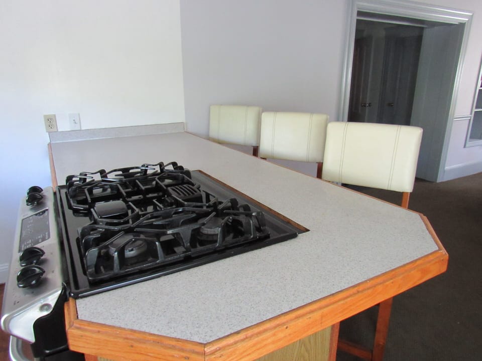 The GE Profile Gas Range/oven for Your Enjoyment