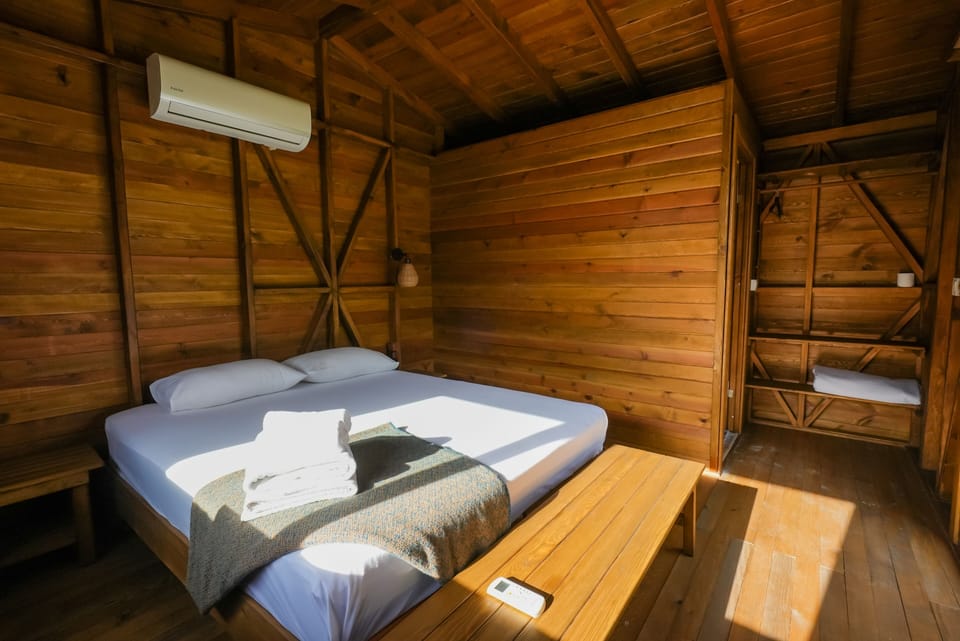 Design Tree House | Free WiFi