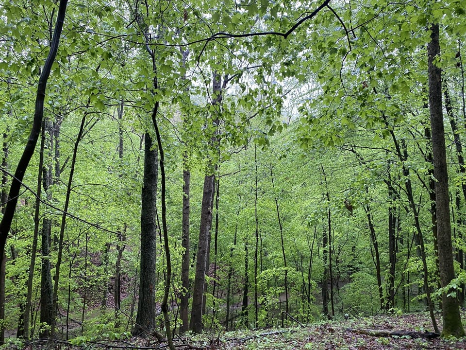 Beautiful hiking located on the property.