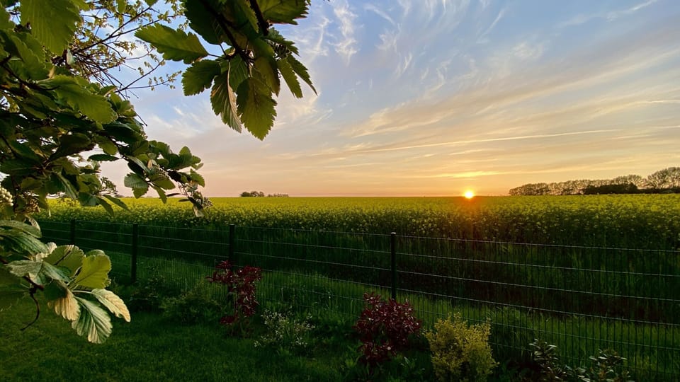 Deluxe Apartment, Private Bathroom, Garden View (Garten-1Schlafzimmer-DG) | Garden