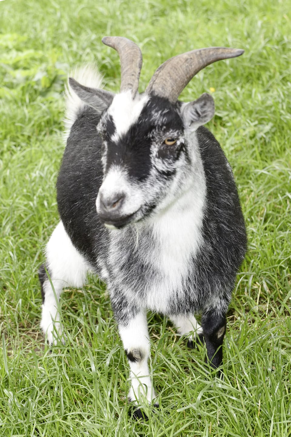 Children's activities