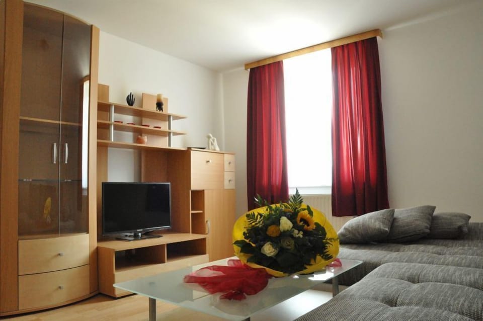 Flat-screen TV