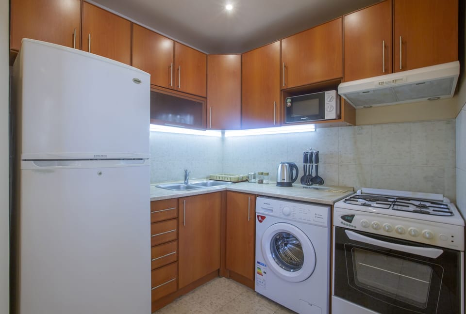 Panoramic Apartment, Balcony, Hill View | Private kitchen | Full-size fridge, microwave, stovetop, electric kettle
