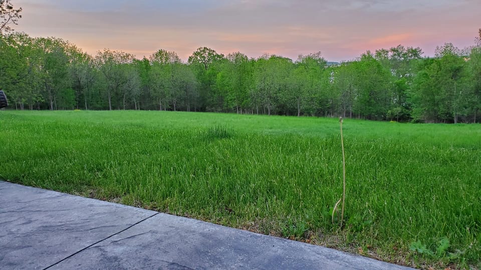 View across the field from in the pool.