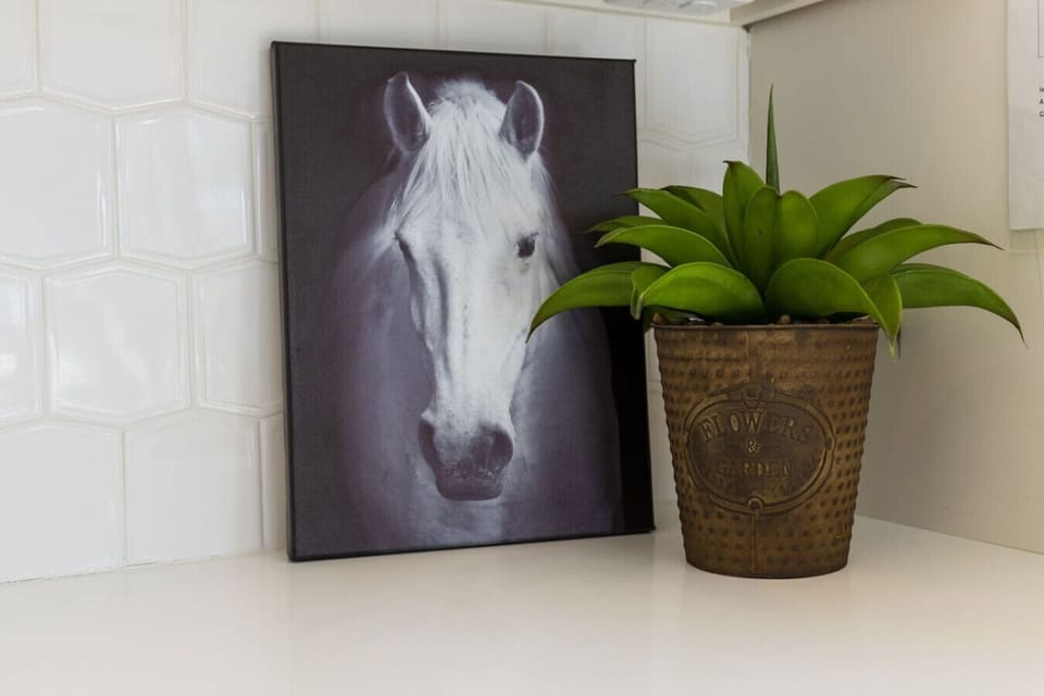 A decorative plant in a stylish corner adds a fresh, natural touch to the living space.