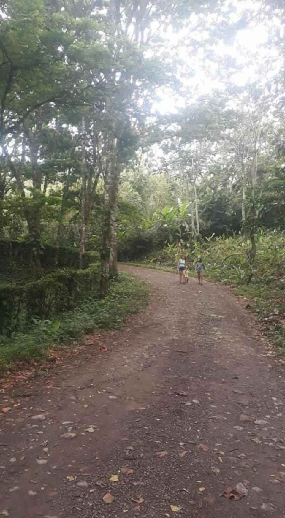 Hotel Pacuare Turrialba Hostel in Cartago Province, Costa Rica