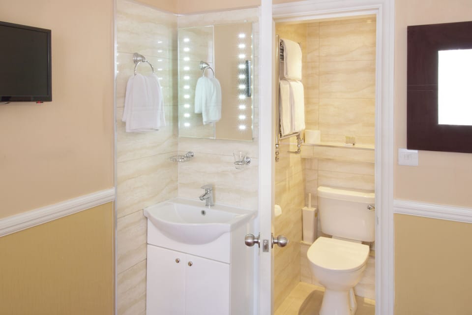 Triple Room | Bathroom | Shower, hair dryer, towels