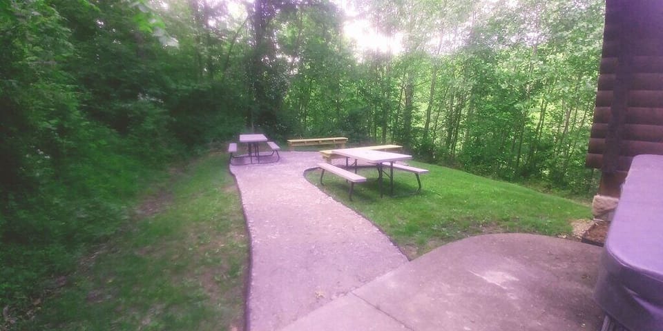 Fire pit area