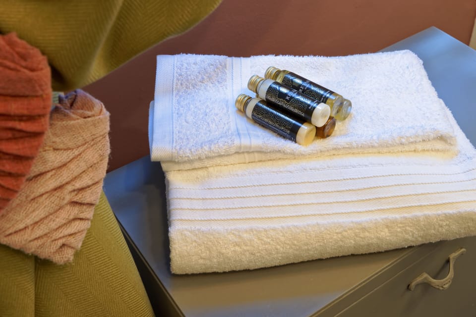 Deluxe Room (2 WR) | Bathroom amenities