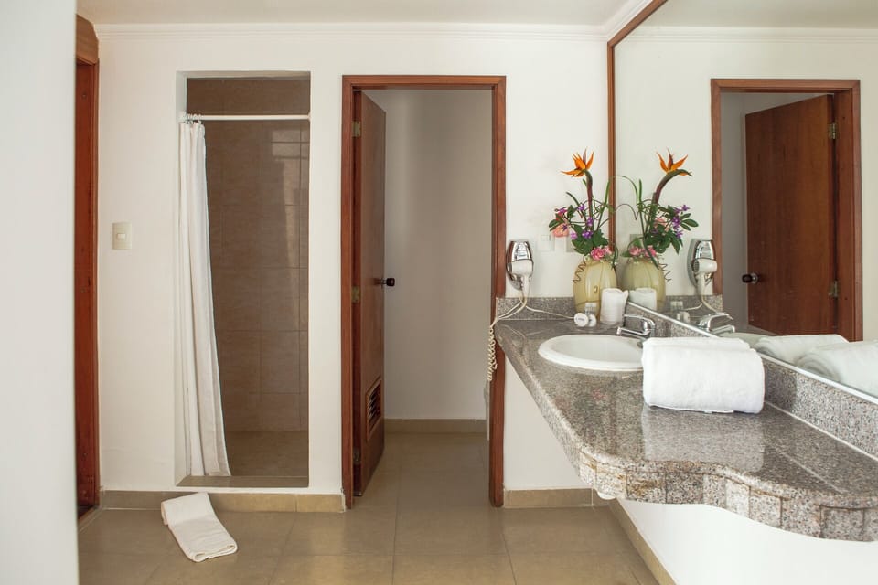Shower, rainfall showerhead, hair dryer, towels