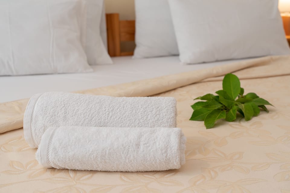 Standard Apartment | In-room safe, iron/ironing board, travel crib, free WiFi