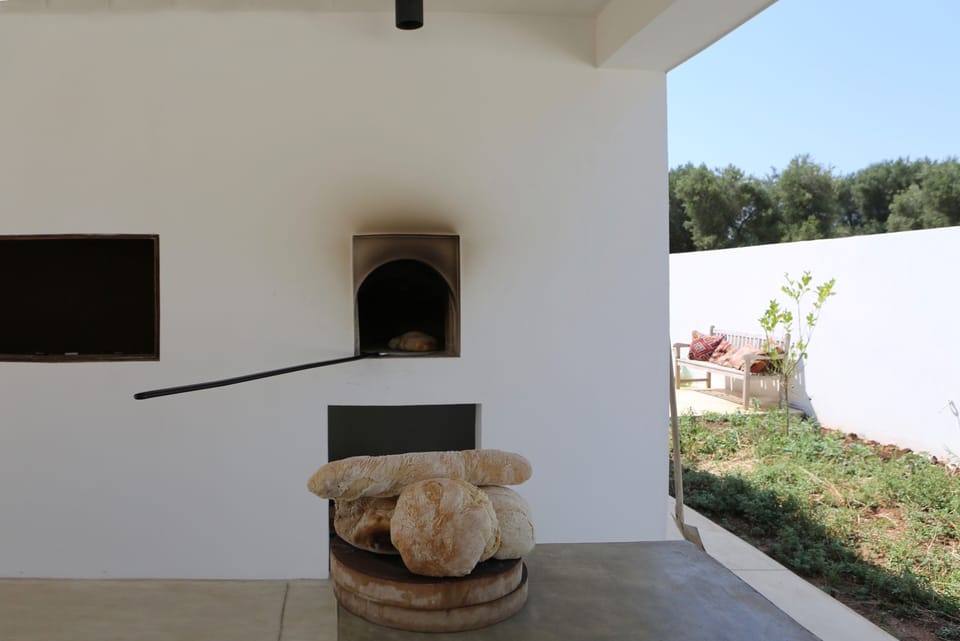 Pizza wood oven and BBQ