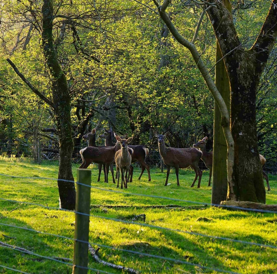 Rowan Lodge Local Sights