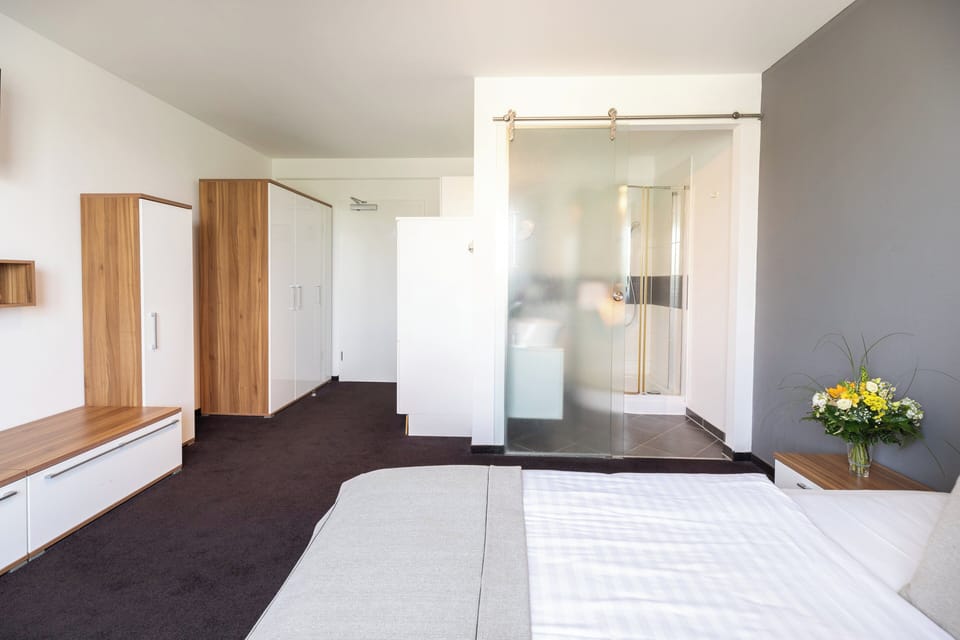 Hypo-allergenic bedding, in-room safe, desk, blackout drapes