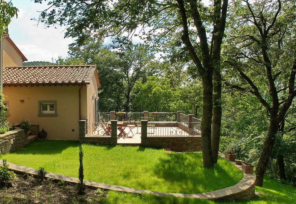 Garden and outdoor view