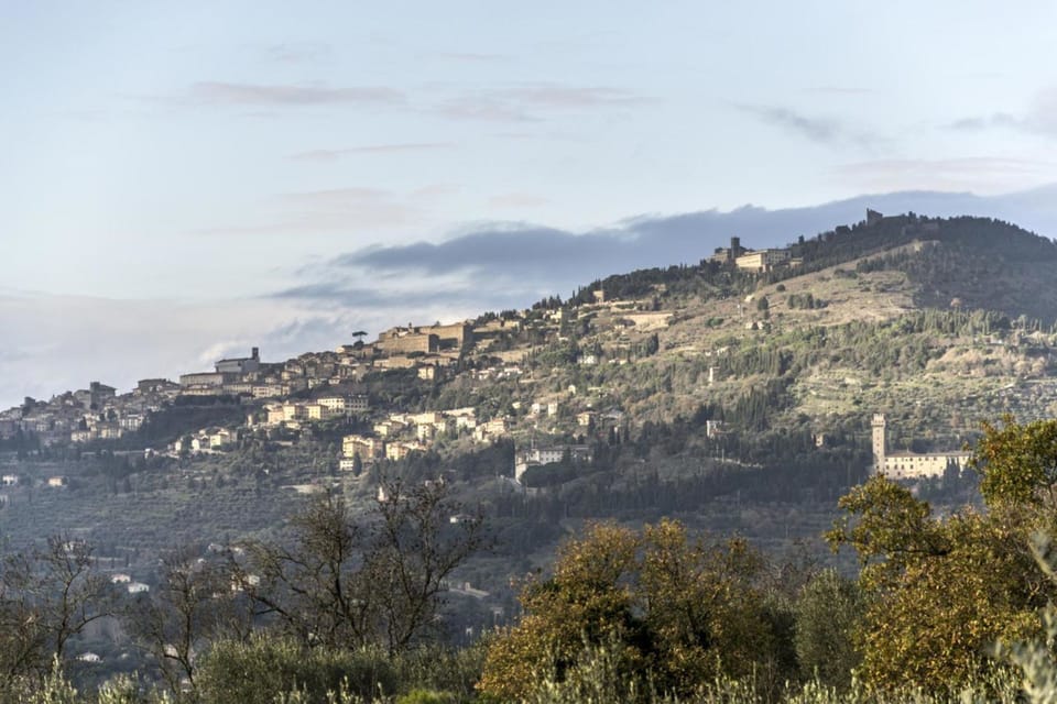 Panoramic view