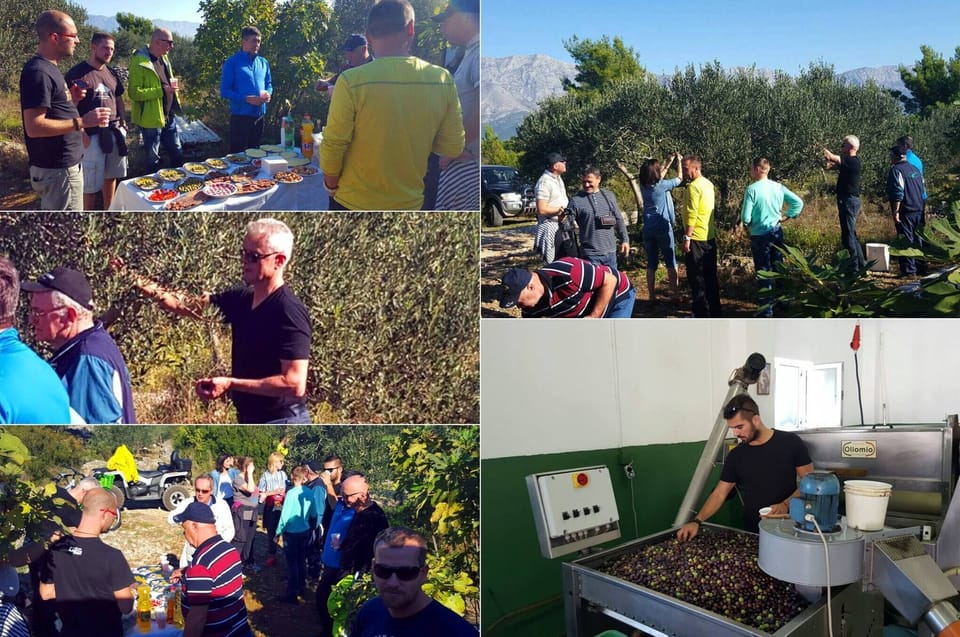 Studio, Multiple Bedrooms, Accessible, Smoking | Exterior