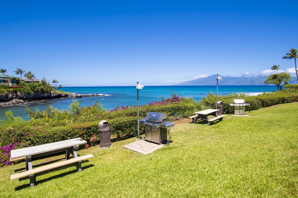 BBQ and seating on property