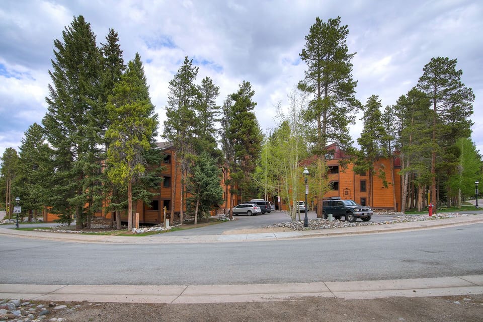 A residential area with multiple wooden buildings surrounded by tall trees, a paved road, and parked vehicles on a cloudy day.