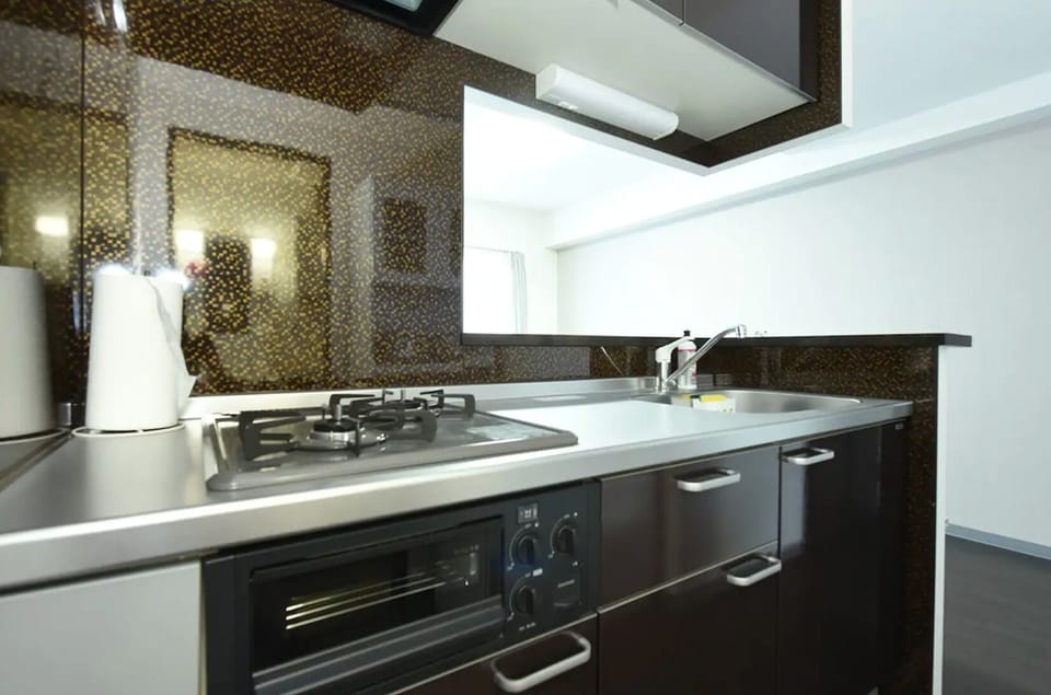 Gas stove