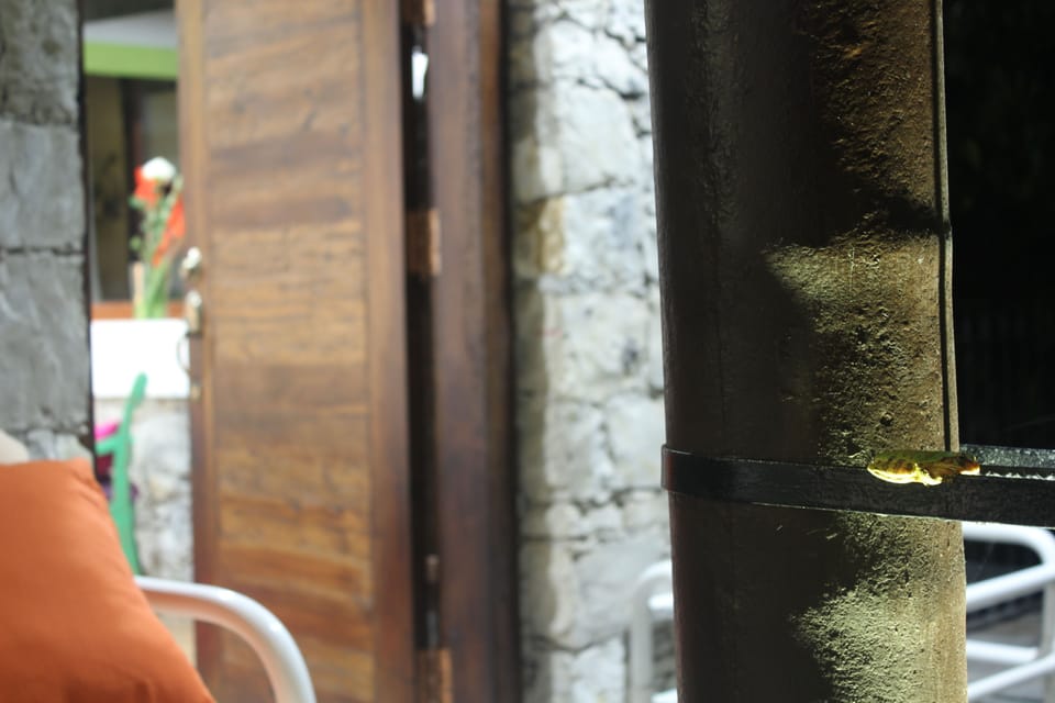 Lover Suite Deluxe | Individually decorated, individually furnished, blackout drapes